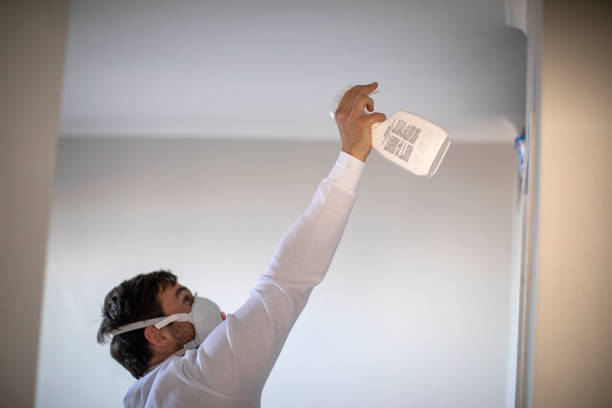 Best Insurance-Related Mold Remediation in Mountain View, NC